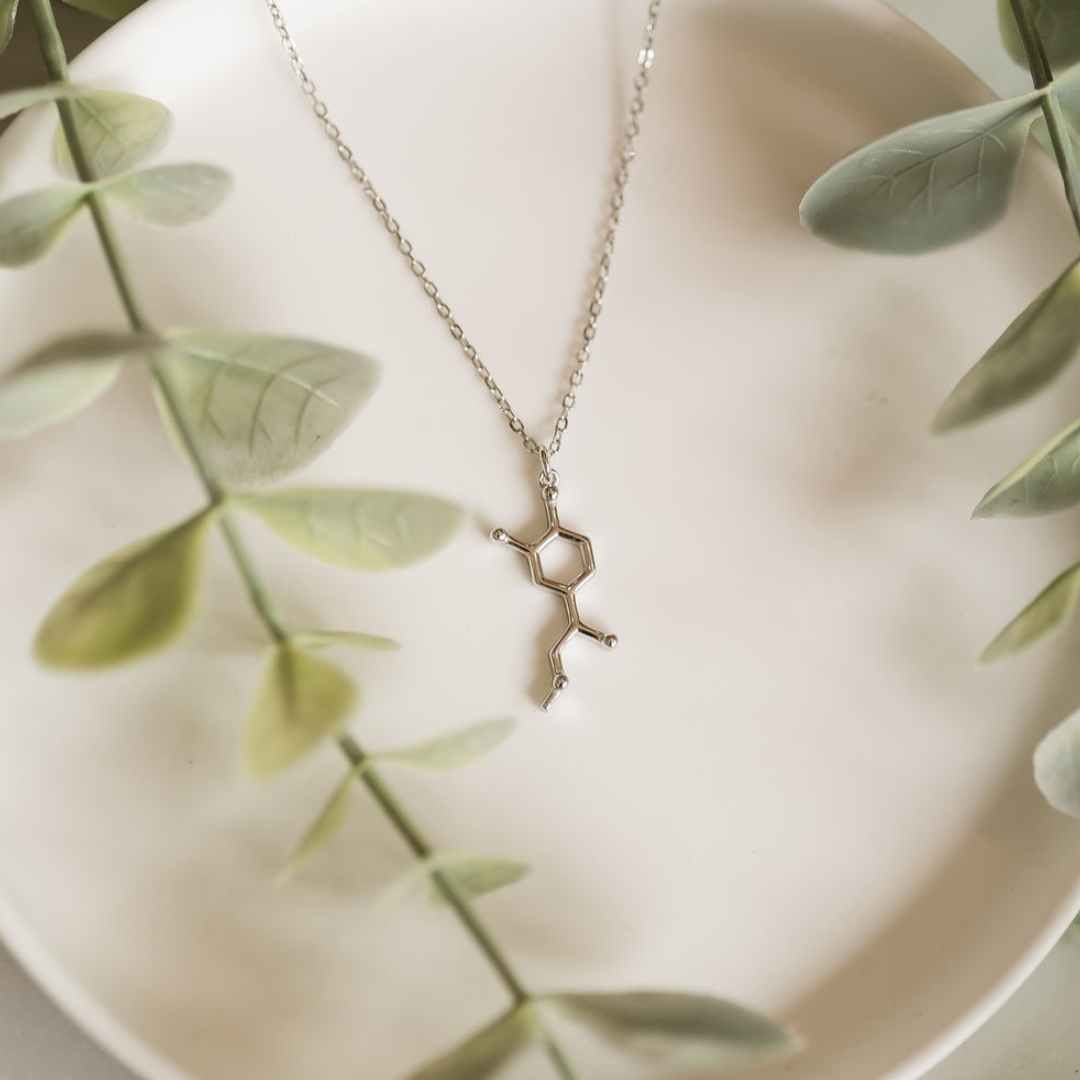 Adrenaline molecule necklace in silver - chemistry inspired jewellery gift for science lovers | My Chemical Gift
