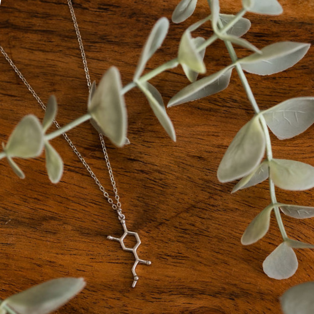 Adrenaline molecule necklace in silver - chemistry inspired jewellery gift for science lovers | My Chemical Gift