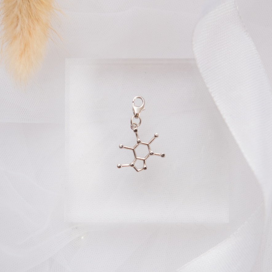Caffeine molecule silver charm bracelet - chemistry inspired jewellery for coffee lovers | My Chemical Gift