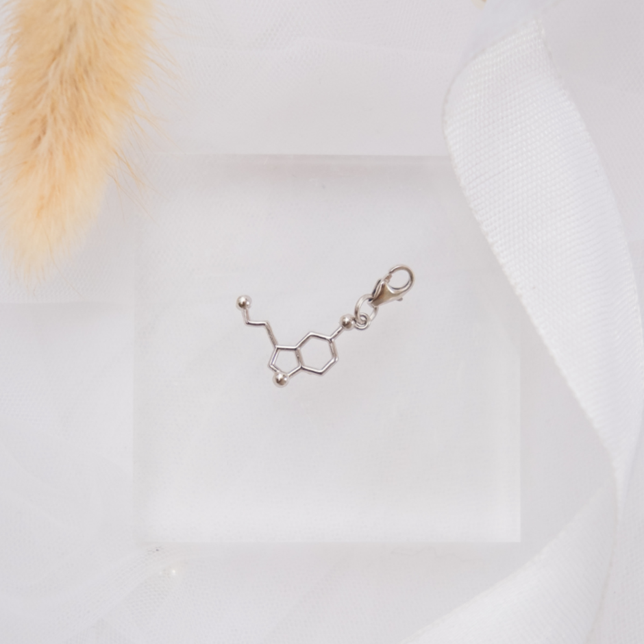 Serotonin molecule silver charm bracelet - chemistry inspired jewellery for science lovers | My Chemical Gift