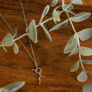 Adrenaline molecule necklace in silver - chemistry inspired jewellery gift for science lovers 