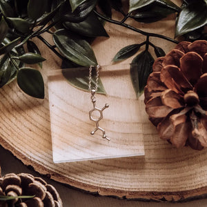 Adrenaline molecule necklace in silver on wooden background - chemistry inspired jewellery gift for science lovers 